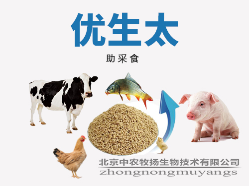 優生太