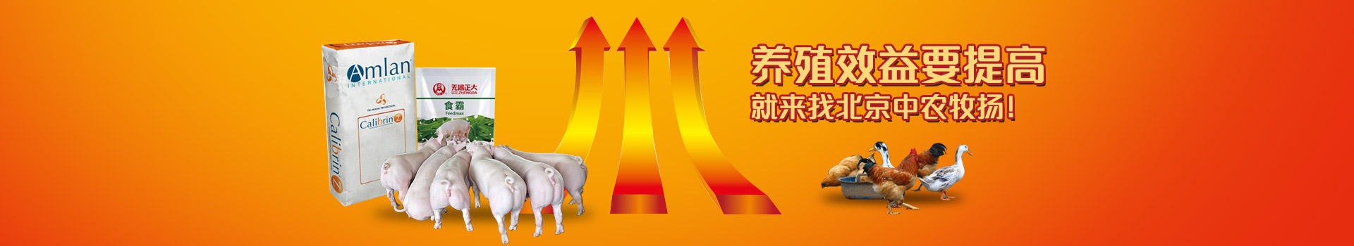 養(yǎng)殖效益要提高，就來找北京中農(nóng)牧揚(yáng)