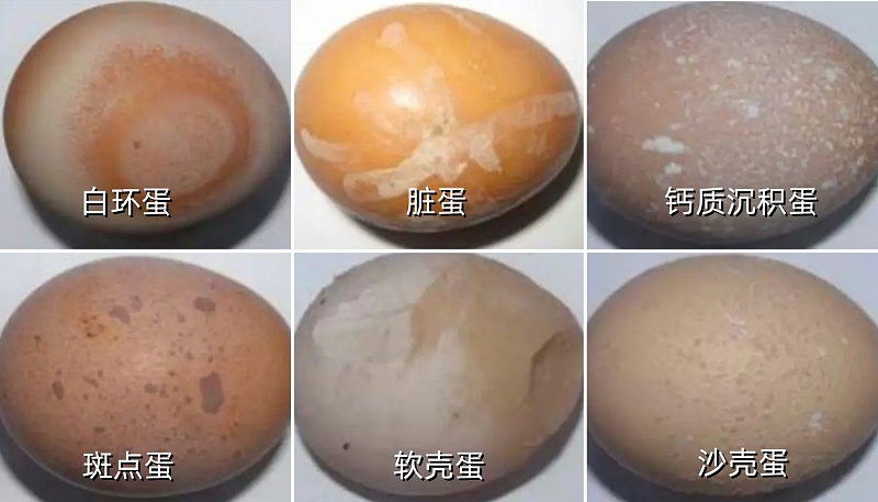 拼圖有標