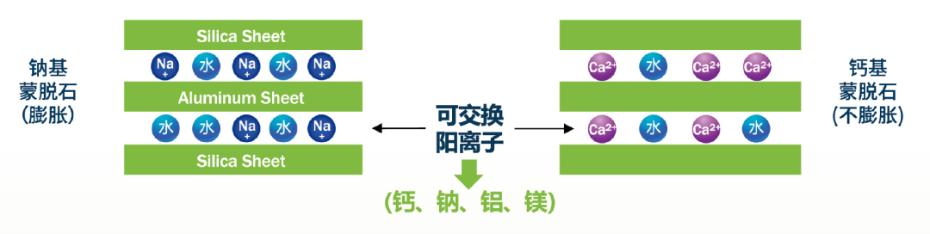蒙脫石比較1