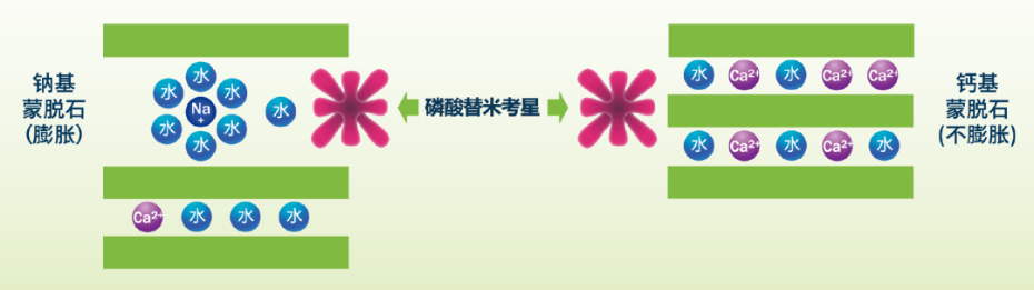 蒙脫石比較2