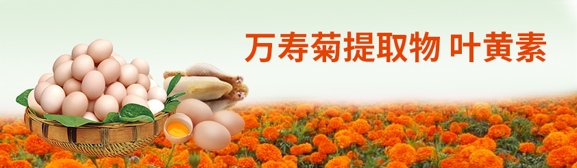 葉黃素