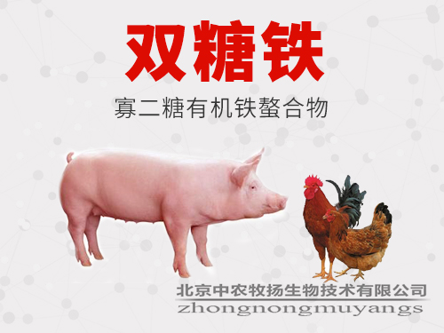 雙糖鐵