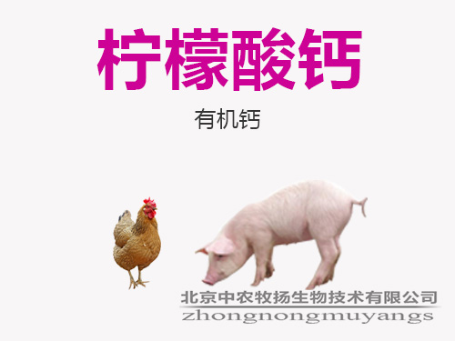 檸檬酸鈣
