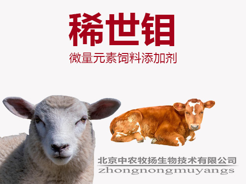 稀世鉬