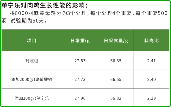 肉雞生長