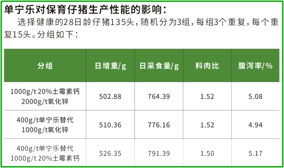 保育仔豬