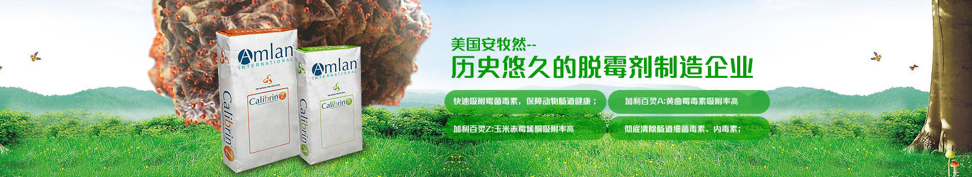 美國安牧然，歷史悠久的脫霉劑制造企業